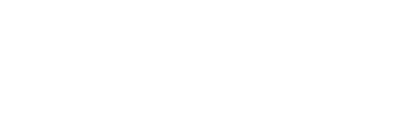 The Detailing Specialists logo